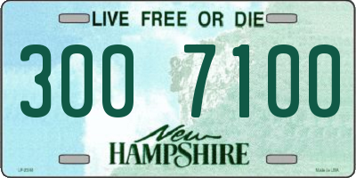 NH license plate 3007100