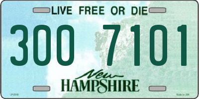 NH license plate 3007101