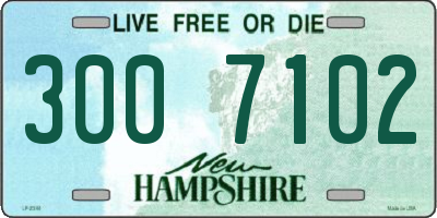 NH license plate 3007102
