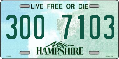 NH license plate 3007103