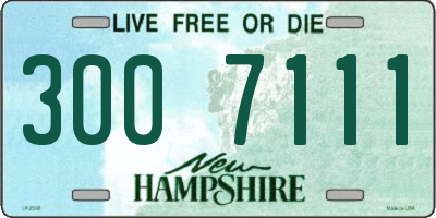 NH license plate 3007111