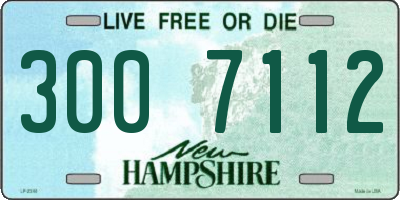 NH license plate 3007112