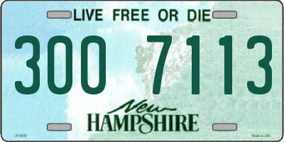 NH license plate 3007113