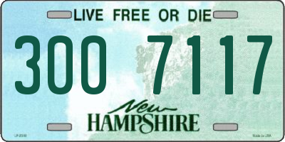 NH license plate 3007117