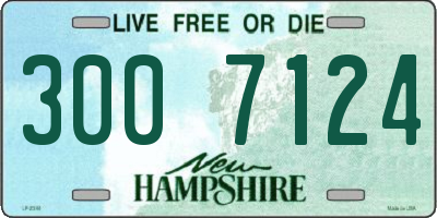 NH license plate 3007124