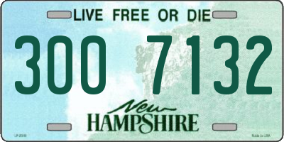 NH license plate 3007132