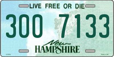 NH license plate 3007133