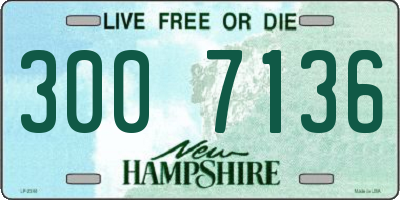 NH license plate 3007136