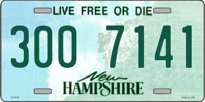 NH license plate 3007141
