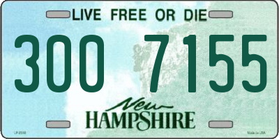 NH license plate 3007155