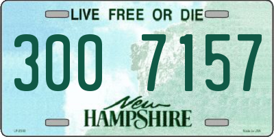 NH license plate 3007157