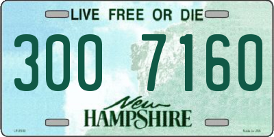 NH license plate 3007160