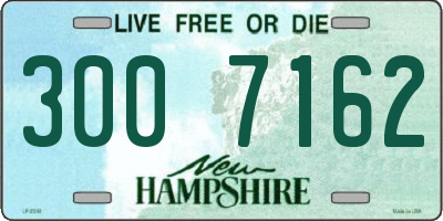 NH license plate 3007162