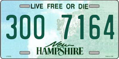 NH license plate 3007164