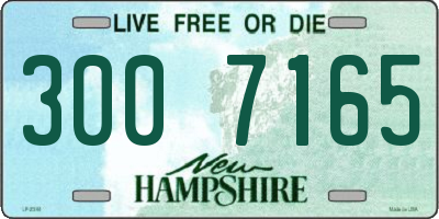 NH license plate 3007165