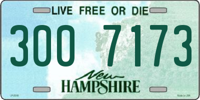 NH license plate 3007173