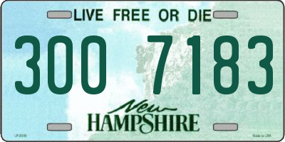 NH license plate 3007183