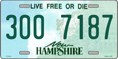 NH license plate 3007187