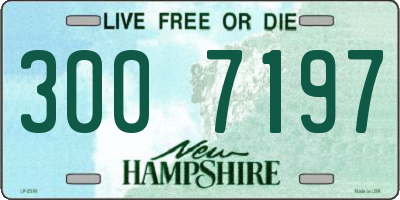 NH license plate 3007197