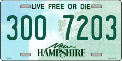 NH license plate 3007203