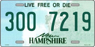 NH license plate 3007219
