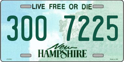 NH license plate 3007225