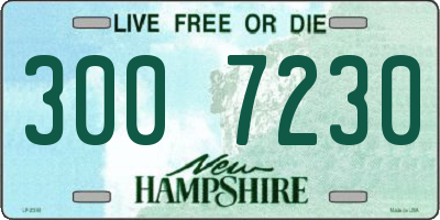 NH license plate 3007230