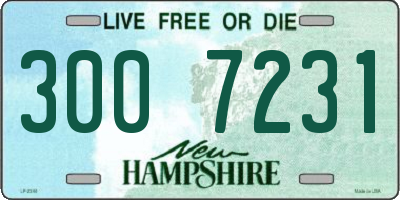 NH license plate 3007231