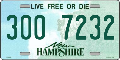 NH license plate 3007232