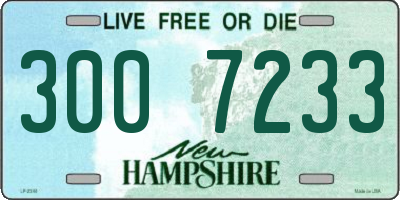 NH license plate 3007233