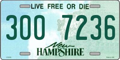 NH license plate 3007236
