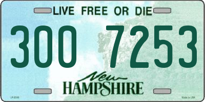 NH license plate 3007253