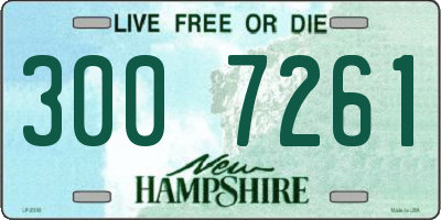 NH license plate 3007261