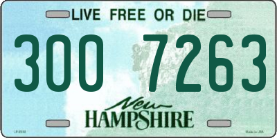NH license plate 3007263