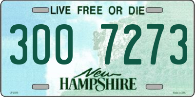 NH license plate 3007273