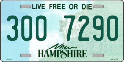 NH license plate 3007290