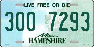 NH license plate 3007293