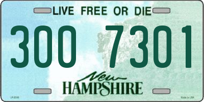 NH license plate 3007301