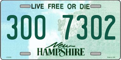 NH license plate 3007302