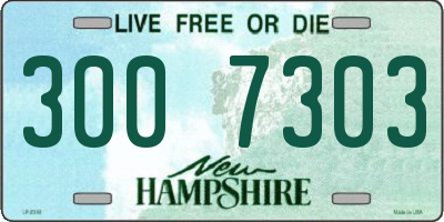 NH license plate 3007303