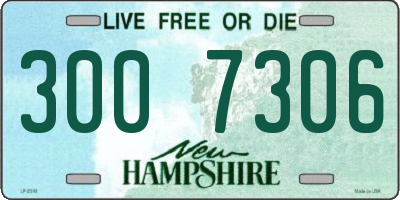 NH license plate 3007306