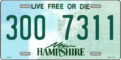 NH license plate 3007311