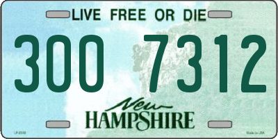 NH license plate 3007312