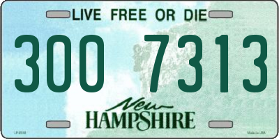 NH license plate 3007313