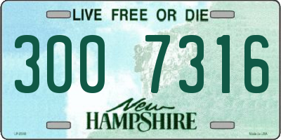 NH license plate 3007316