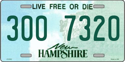 NH license plate 3007320