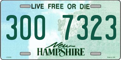 NH license plate 3007323