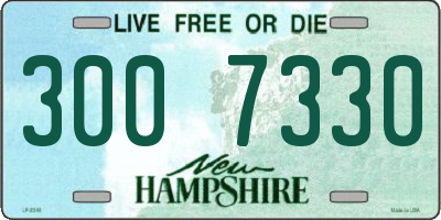 NH license plate 3007330