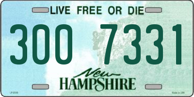 NH license plate 3007331