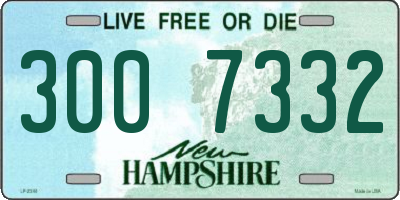 NH license plate 3007332